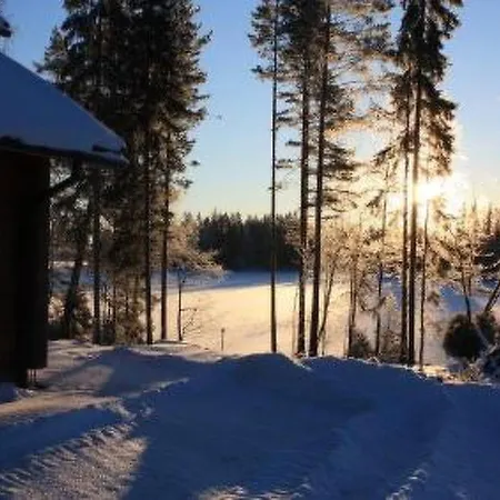 Holiday Ilves